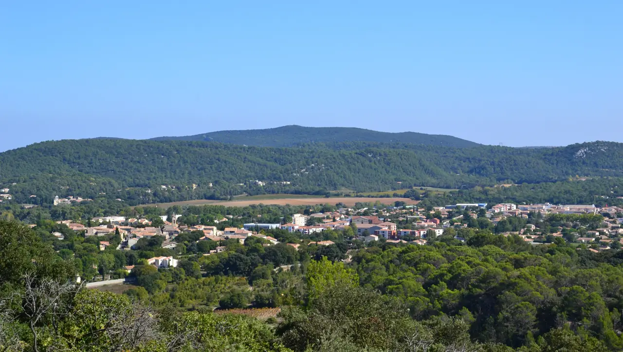 Dépannage informatique à Saint-Mathieu-de-Tréviers - RJ6